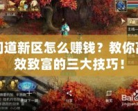 問(wèn)道新區(qū)怎么賺錢(qián)？教你高效致富的三大技巧！