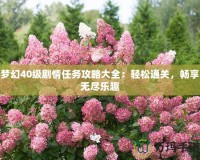 夢幻40級(jí)劇情任務(wù)攻略大全：輕松通關(guān)，暢享無盡樂趣