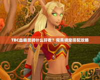 TBC血精靈騎什么好看？完美騎寵搭配攻略