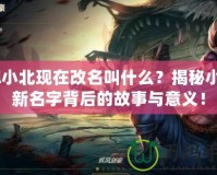 lol小北現(xiàn)在改名叫什么？揭秘小北新名字背后的故事與意義！