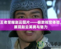 王者榮耀趙云圖片——極致視覺體驗(yàn)，展現(xiàn)趙云英勇與魅力