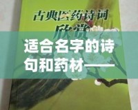 適合名字的詩句和藥材——詩意與草本的完美融合