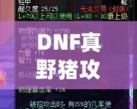 DNF真野豬攻略講解——輕松擊敗野豬王，帶你暢游地下城！