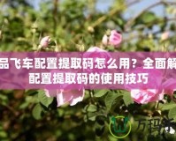 極品飛車配置提取碼怎么用？全面解讀配置提取碼的使用技巧