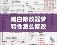 黑白修改器夢特性怎么修改？一步步帶你掌握修改技巧