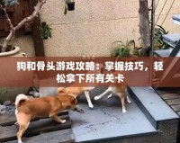 狗和骨頭游戲攻略：掌握技巧，輕松拿下所有關卡