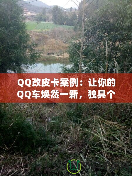 QQ改皮卡案例：讓你的QQ車煥然一新，獨(dú)具個(gè)性！