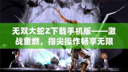 無雙大蛇Z下載手機版——激戰(zhàn)重燃，指尖操作暢享無限快感！