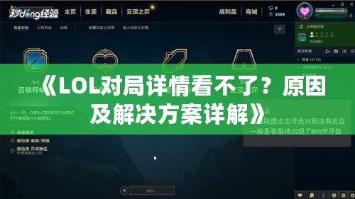 《LOL對局詳情看不了？原因及解決方案詳解》