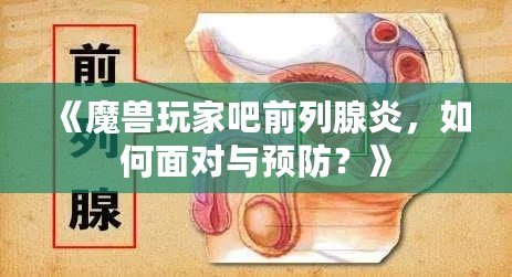 《魔獸玩家吧前列腺炎，如何面對與預(yù)防？》