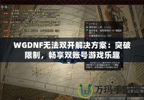 WGDNF無法雙開解決方案：突破限制，暢享雙賬號游戲樂趣