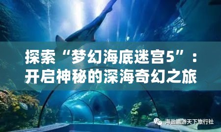 探索“夢(mèng)幻海底迷宮5”：開啟神秘的深海奇幻之旅！