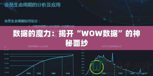 數(shù)據(jù)的魔力：揭開“WOW數(shù)據(jù)”的神秘面紗