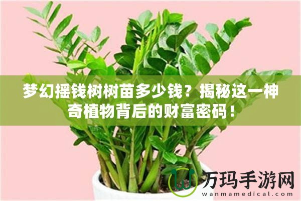 夢(mèng)幻搖錢樹(shù)樹(shù)苗多少錢？揭秘這一神奇植物背后的財(cái)富密碼！