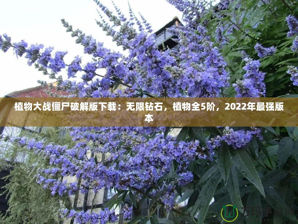 植物大戰(zhàn)僵尸破解版下載：無(wú)限鉆石，植物全5階，2022年最強(qiáng)版本