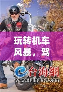 玩轉(zhuǎn)機車風(fēng)暴，駕馭速度與激情——PSV機車風(fēng)暴中文全解析