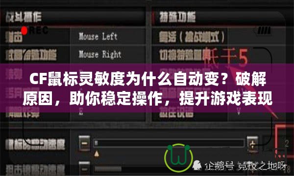 CF鼠標(biāo)靈敏度為什么自動(dòng)變？破解原因，助你穩(wěn)定操作，提升游戲表現(xiàn)！