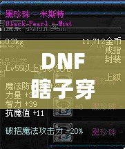 DNF瞎子穿什么甲？讓你秒變無敵的裝備選擇解析！