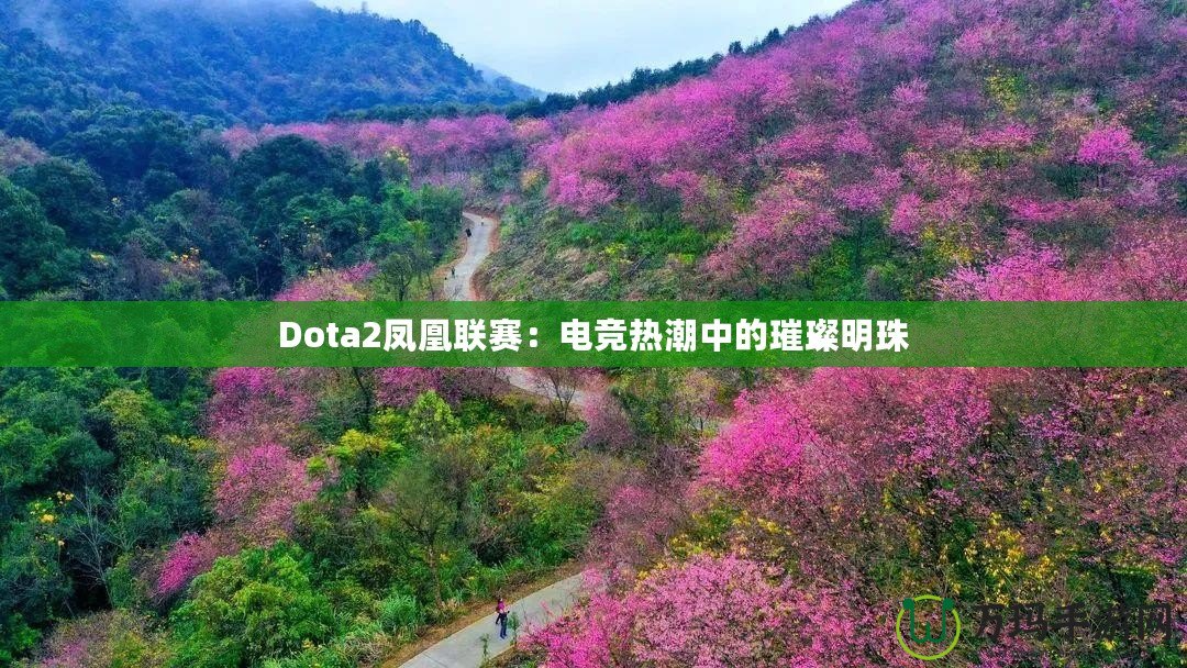 Dota2鳳凰聯(lián)賽：電競熱潮中的璀璨明珠