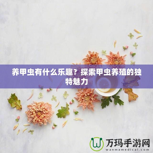 養(yǎng)甲蟲有什么樂趣？探索甲蟲養(yǎng)殖的獨特魅力