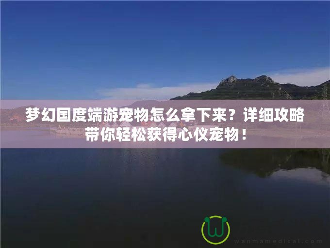 夢幻國度端游寵物怎么拿下來？詳細攻略帶你輕松獲得心儀寵物！