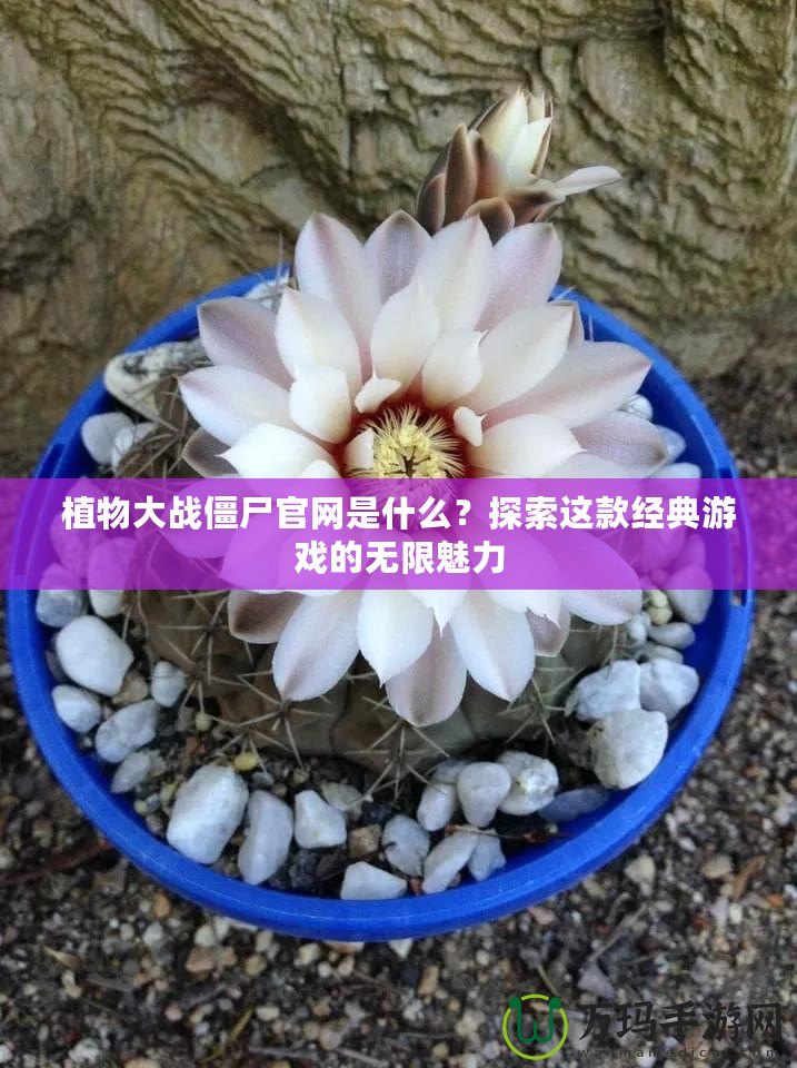 植物大戰(zhàn)僵尸官網(wǎng)是什么？探索這款經(jīng)典游戲的無限魅力