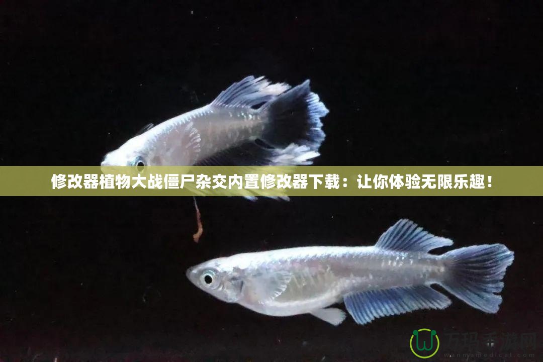 修改器植物大戰(zhàn)僵尸雜交內(nèi)置修改器下載：讓你體驗(yàn)無限樂趣！