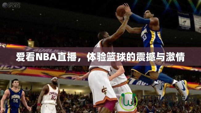 愛看NBA直播，體驗(yàn)籃球的震撼與激情