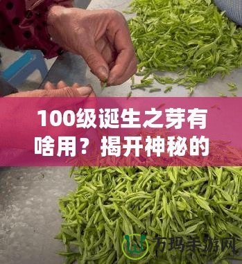 100級(jí)誕生之芽有啥用？揭開神秘的面紗，探索無限可能！