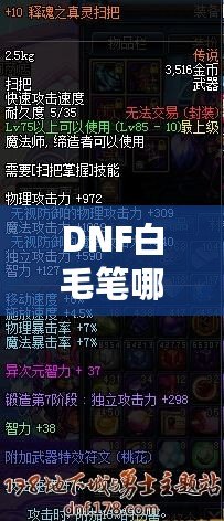 DNF白毛筆哪里爆？全面解析獲取途徑與策略