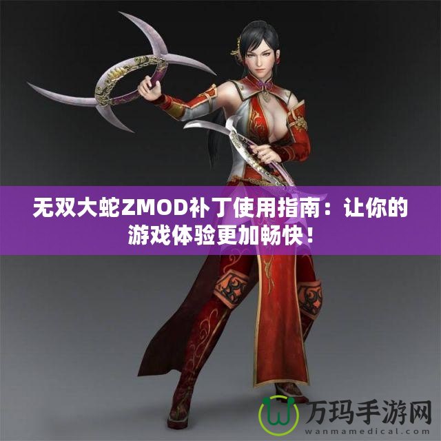 無雙大蛇ZMOD補(bǔ)丁使用指南：讓你的游戲體驗(yàn)更加暢快！