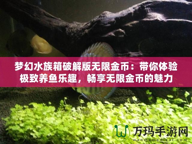 夢幻水族箱破解版無限金幣：帶你體驗極致養(yǎng)魚樂趣，暢享無限金幣的魅力