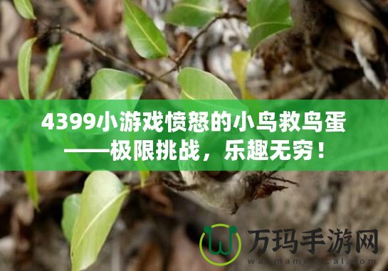 4399小游戲憤怒的小鳥救鳥蛋——極限挑戰(zhàn)，樂趣無窮！