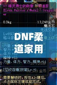 DNF柔道家用什么武器PK最強？掌握這些，你也能成為戰(zhàn)場王者！