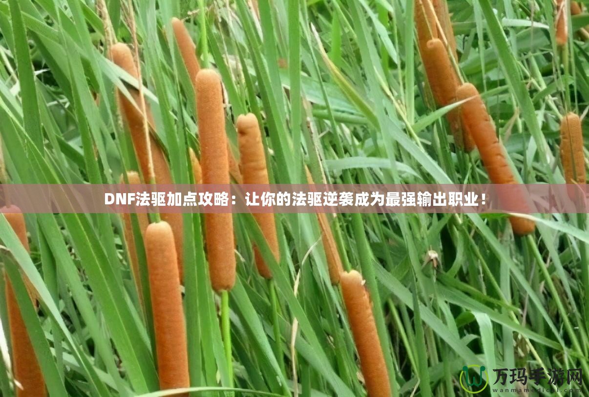 DNF法驅加點攻略：讓你的法驅逆襲成為最強輸出職業(yè)！