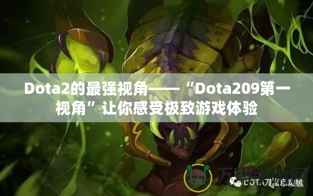 Dota2的最強視角——“Dota209第一視角”讓你感受極致游戲體驗