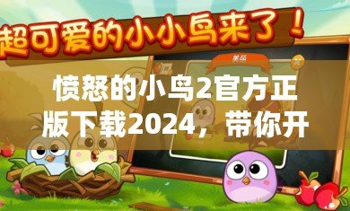 憤怒的小鳥2官方正版下載2024，帶你開啟全新冒險之旅