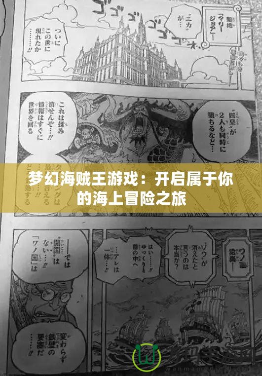 夢幻海賊王游戲：開啟屬于你的海上冒險之旅