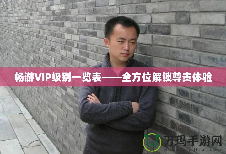 暢游VIP級別一覽表——全方位解鎖尊貴體驗