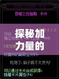 探秘加力量的寶珠——它是如何提升你的力量和運勢的？