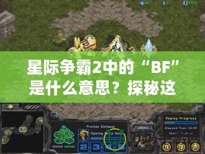 星際爭霸2中的“BF”是什么意思？探秘這個詞匯背后的深層含義