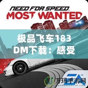 極品飛車(chē)183DM下載：感受極速與激情的碰撞