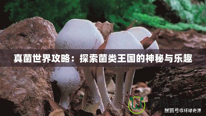 真菌世界攻略：探索菌類王國(guó)的神秘與樂趣