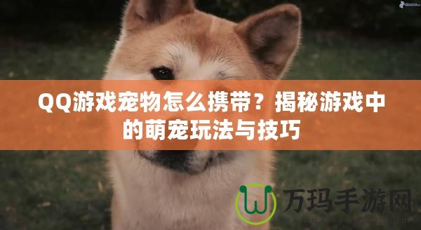 QQ游戲寵物怎么攜帶？揭秘游戲中的萌寵玩法與技巧