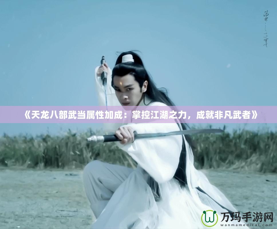 《天龍八部武當(dāng)屬性加成：掌控江湖之力，成就非凡武者》