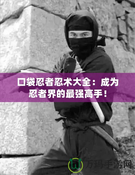 口袋忍者忍術(shù)大全：成為忍者界的最強高手！