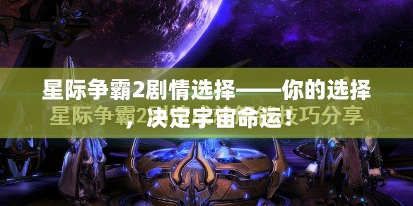 星際爭霸2劇情選擇——你的選擇，決定宇宙命運！