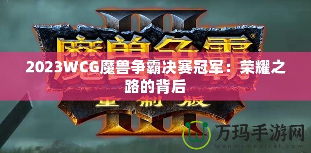 2023WCG魔獸爭(zhēng)霸決賽冠軍：榮耀之路的背后