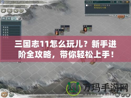 三國志11怎么玩兒？新手進階全攻略，帶你輕松上手！