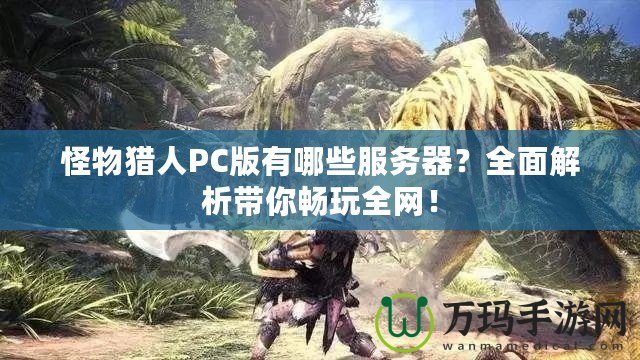 怪物獵人PC版有哪些服務(wù)器？全面解析帶你暢玩全網(wǎng)！